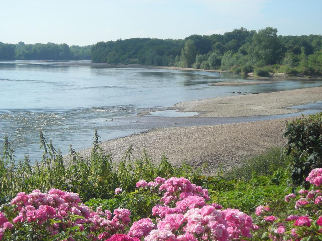 Hotel De La Loire Saint-Satur Екстериор снимка